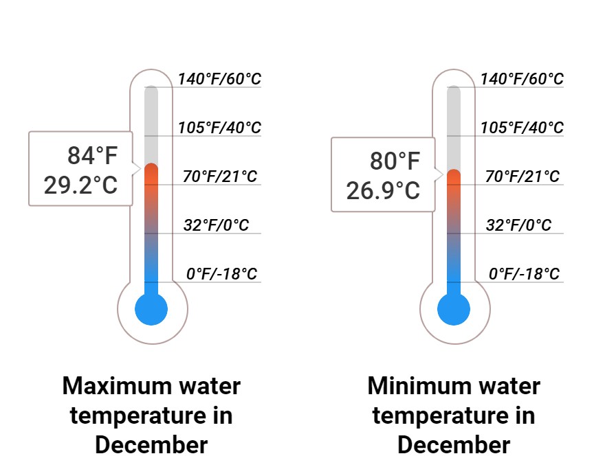 Average Sea temperature